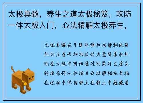 太极真髓，养生之道太极秘笈，攻防一体太极入门，心法精解太极养生，延年益寿太极实战，技艺高超
